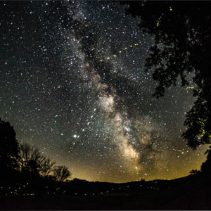 Milky Way with Fireflies