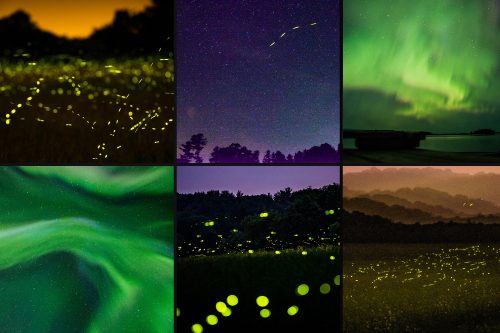 Fireflies and Northern Lights
